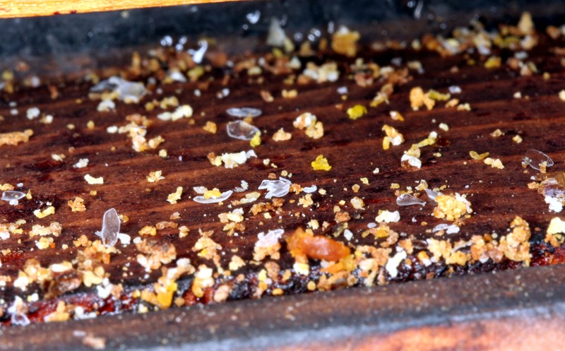 Bodenplatte mit Wachsplättchen und Propolis-Stücken Bodenplatte mit Wachsplättchen und Propolis-Stücken